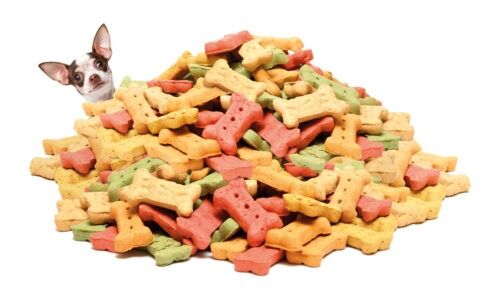 Dog with pile of dog treats