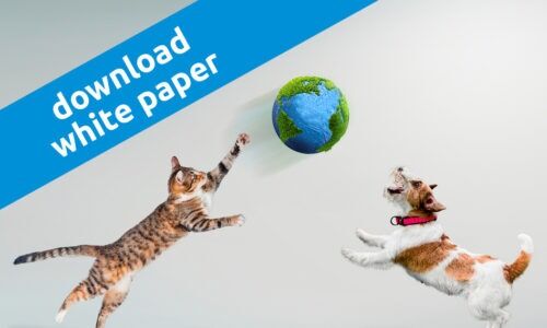 Download White paper