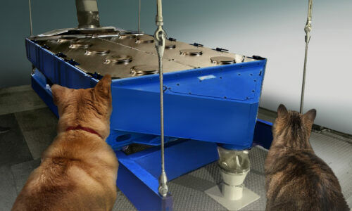 Dog, cat and rotex screen