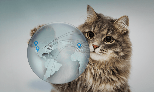 Blog Chad sourcing website