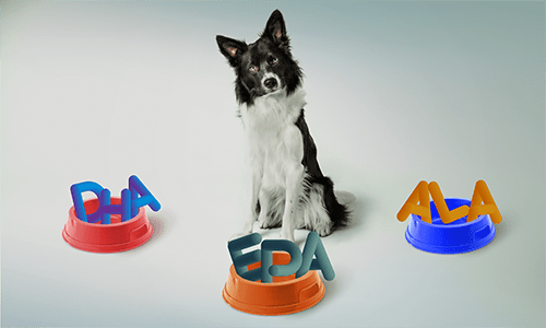 IQI Choosing the right omega-3 source for making functional health claims