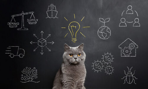 Blog Mark - what I learned in 100 days