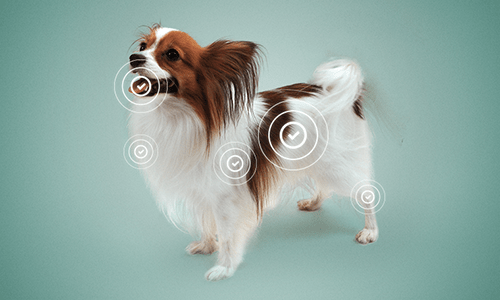 functional health claims