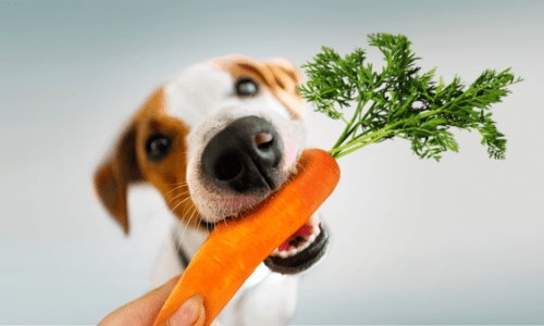 hybrid animal/plant-based or vegan ingredients