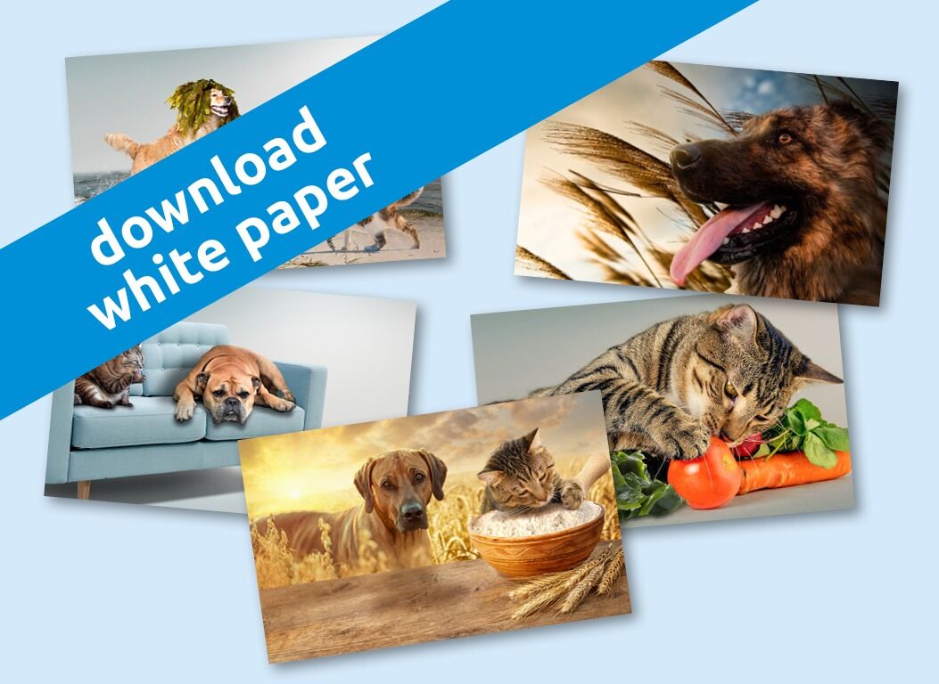 Download whitepaper natural fibers