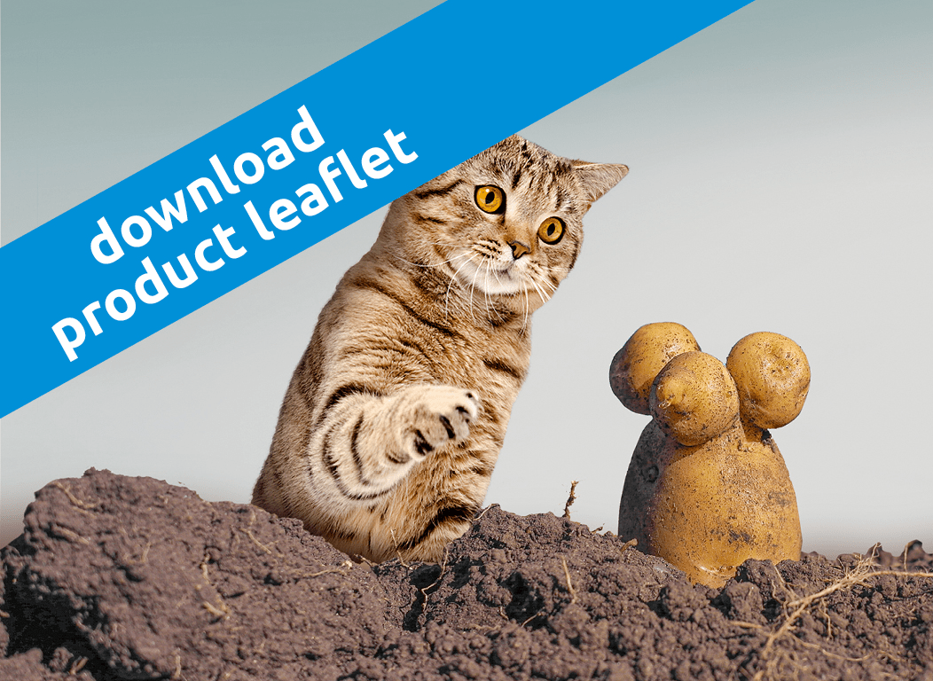 IQI_pure_potato_mix_flakes