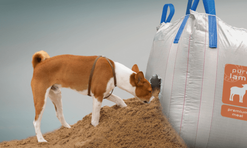 IQI dog and bag of lamb-meal