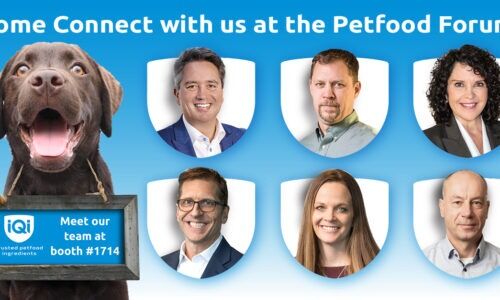 Meet the tean at PFF