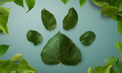 IQI_more_protein_quality_sustainability_blog_geert van der velden