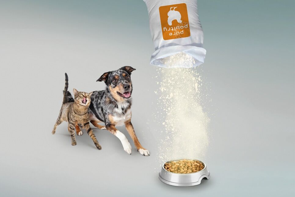 IQI_chicken plasma powder_egg white