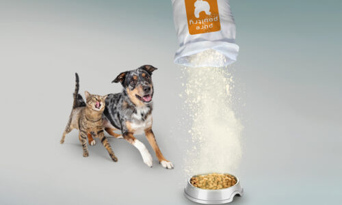 IQI chickenplasma powder egg white