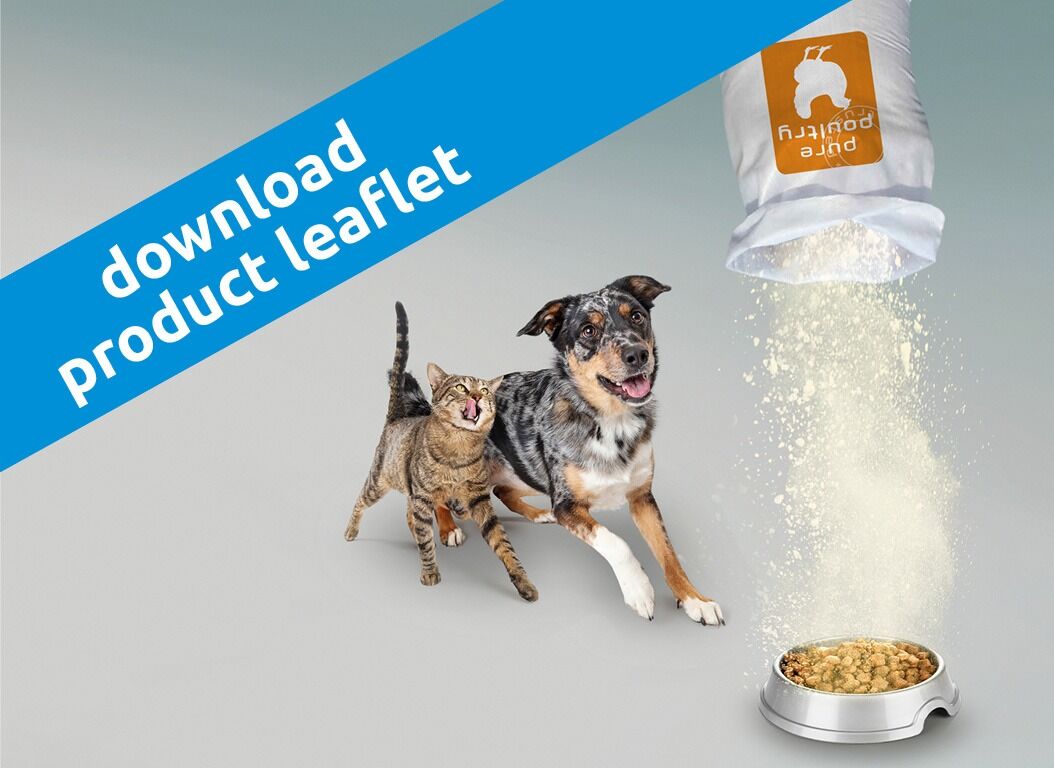 IQI_chicken plasma powder