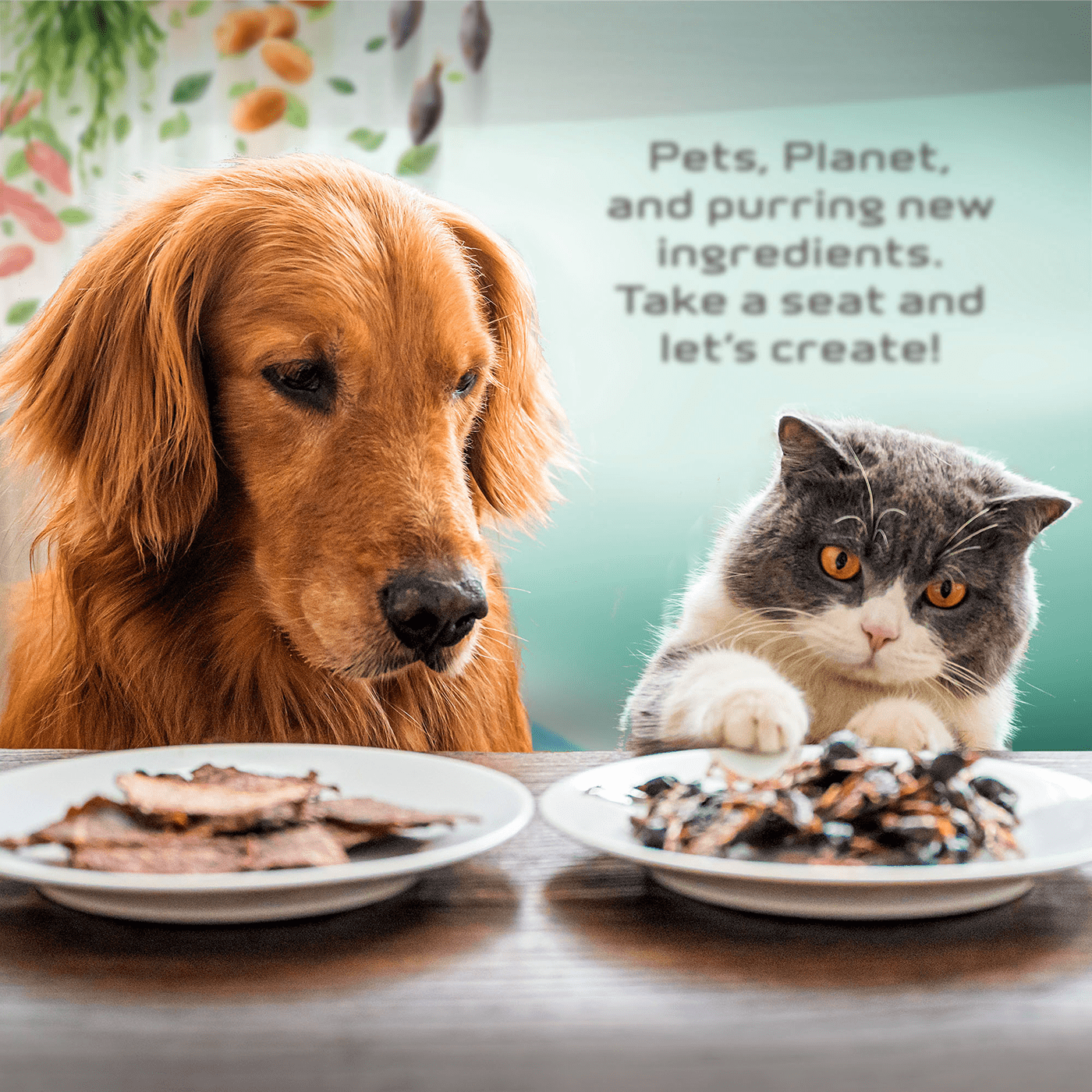 Petfood Forum 2023