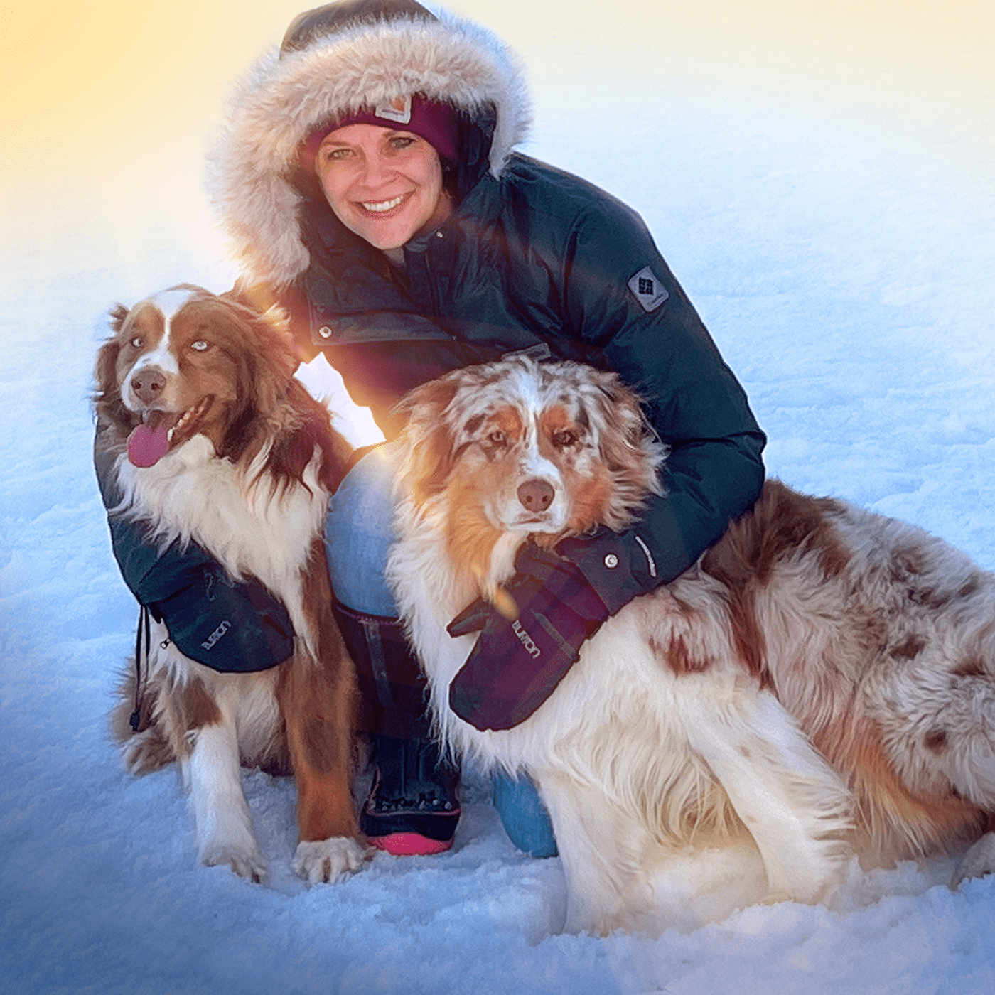 Leveraging the human collagen peptides trend to help our pets with mobility