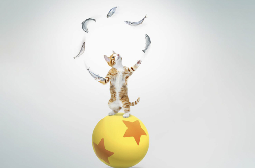 Cat juggling on ball with fish