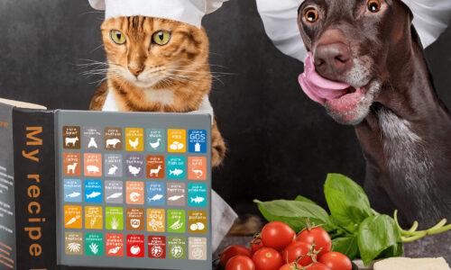 blog Mark-co-creation