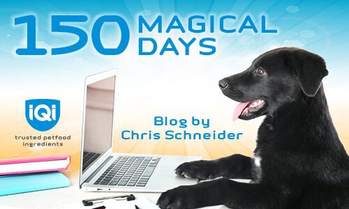 150 magical days, blog by Chris Schneider