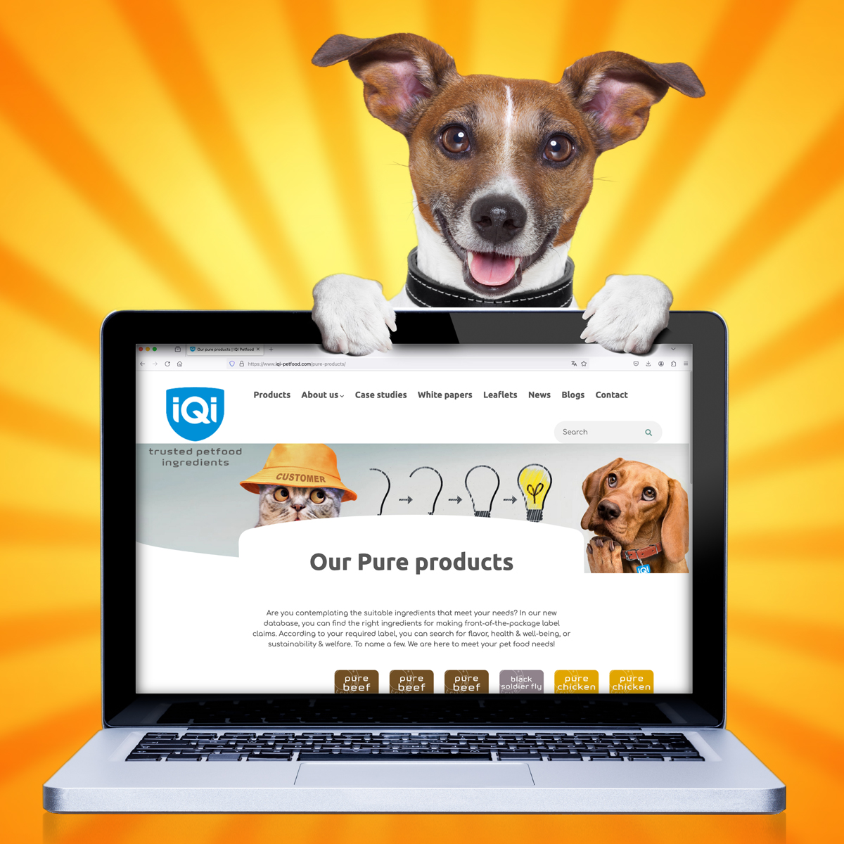 dog showing our new online product database classification
