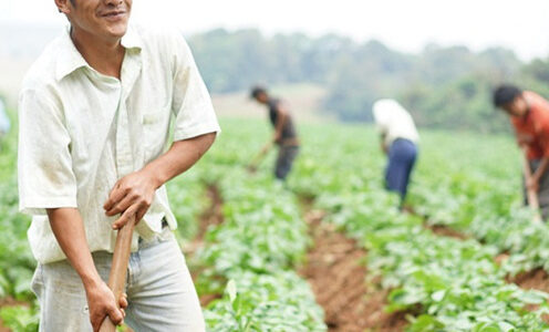 IQI Petfood extends partnership with Wakibi for 4th year!